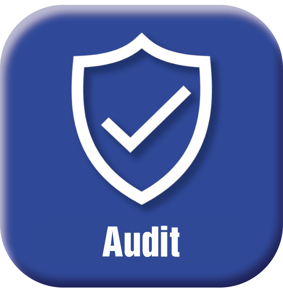 Audit